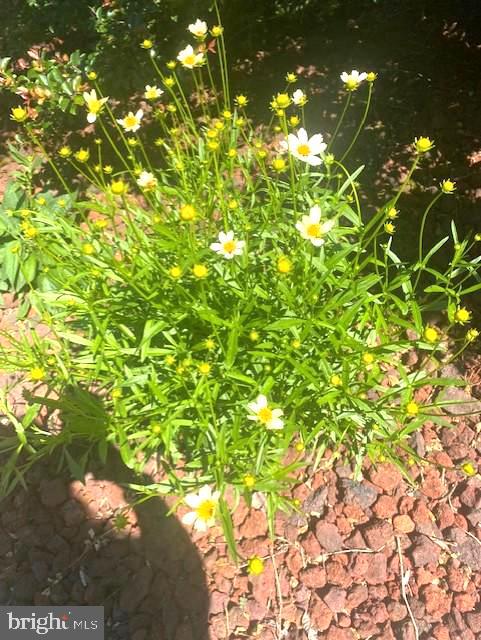 STONE RIVER - Residential