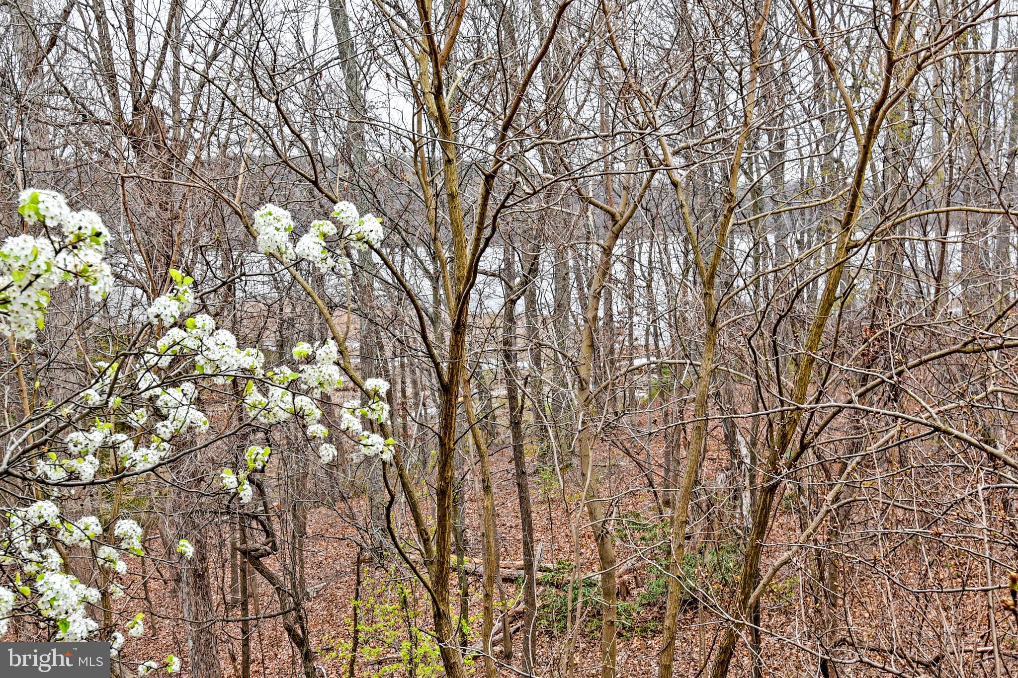 RIVERSIDE STATION - Residential Lease