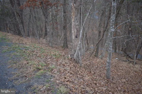 MLS: VASH2013808