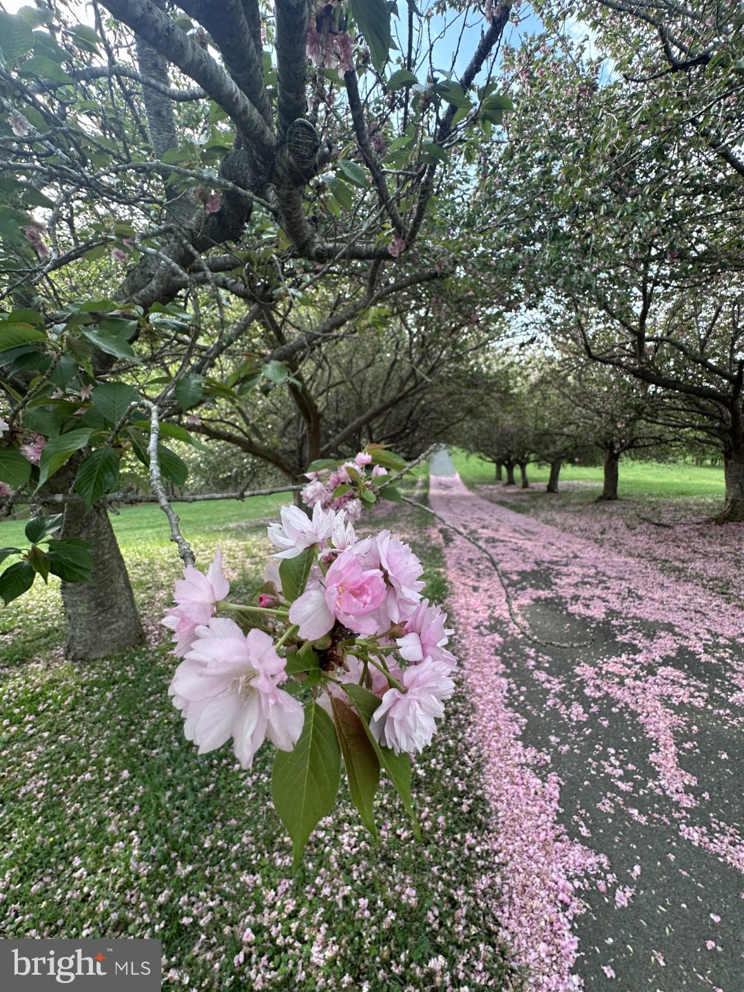HOLBROOK HEIGHTS - Residential