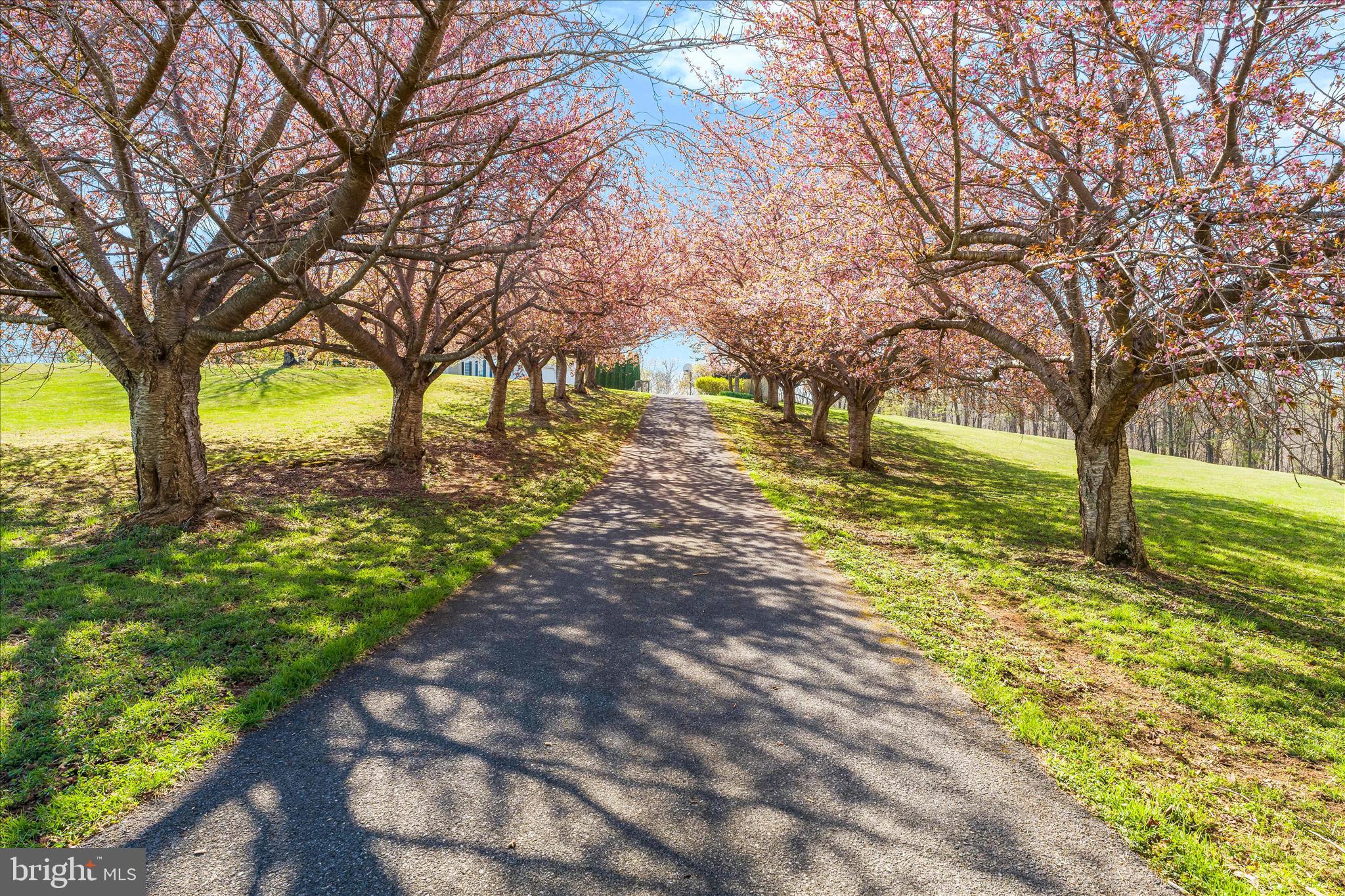 HOLBROOK HEIGHTS - Residential
