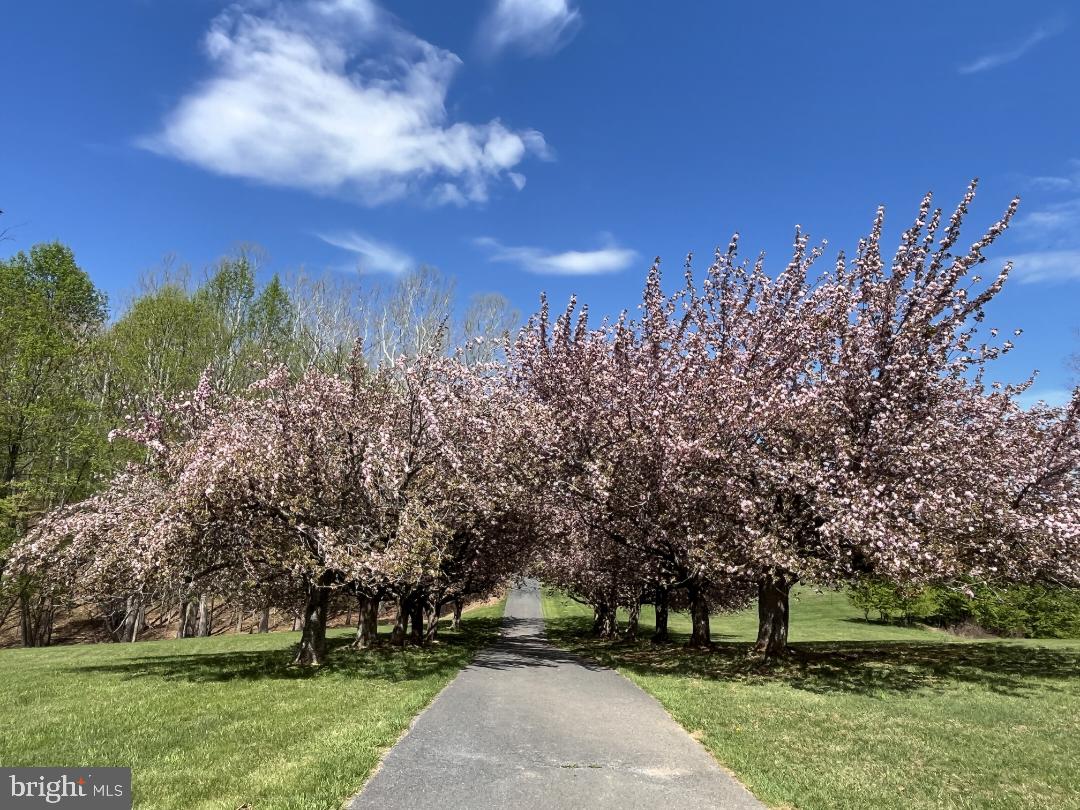 HOLBROOK HEIGHTS - Residential