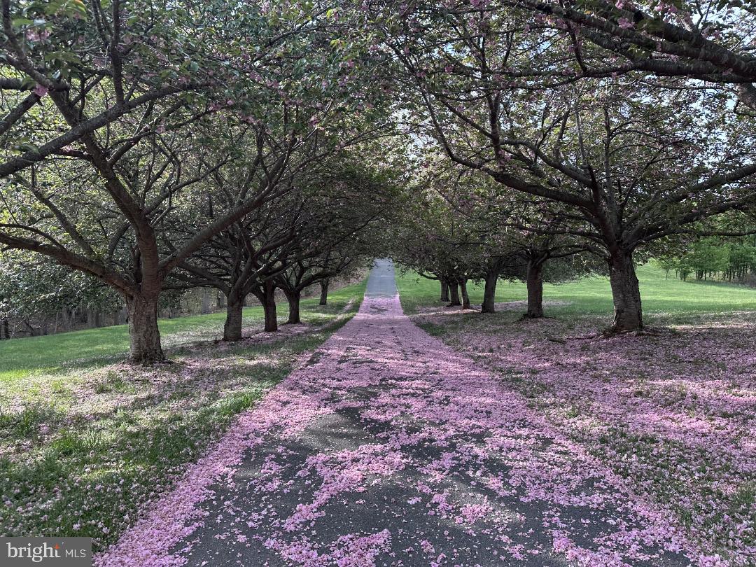 HOLBROOK HEIGHTS - Residential