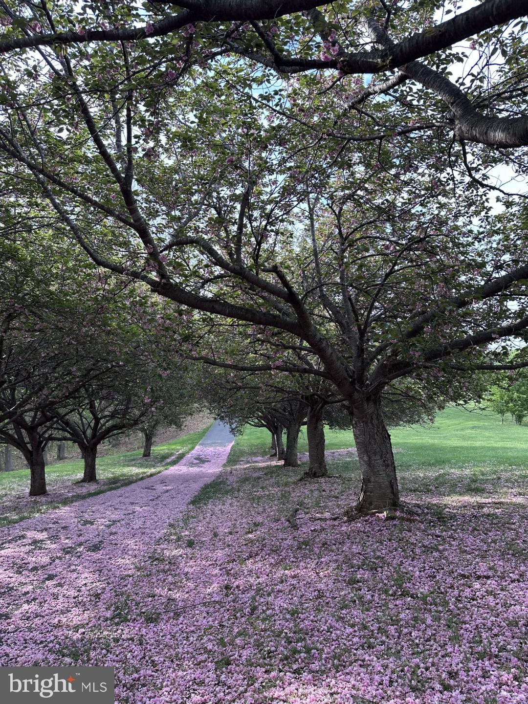 HOLBROOK HEIGHTS - Residential