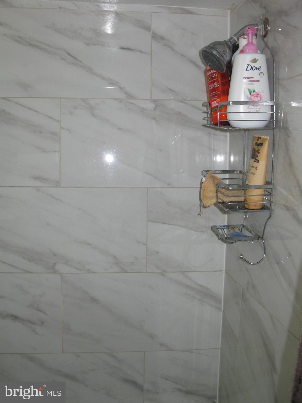 FOREST SPRING CO - Residential Lease