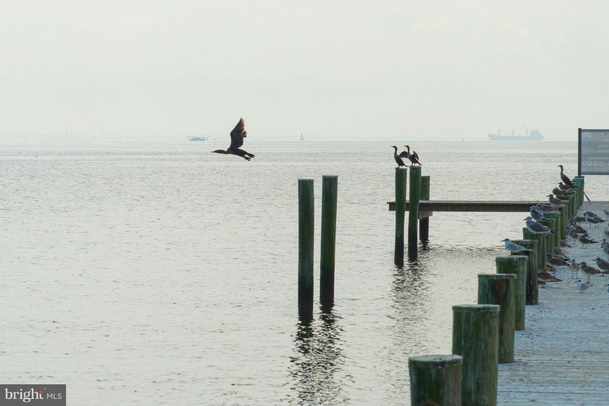 PLEASANT PLAINS - Residential