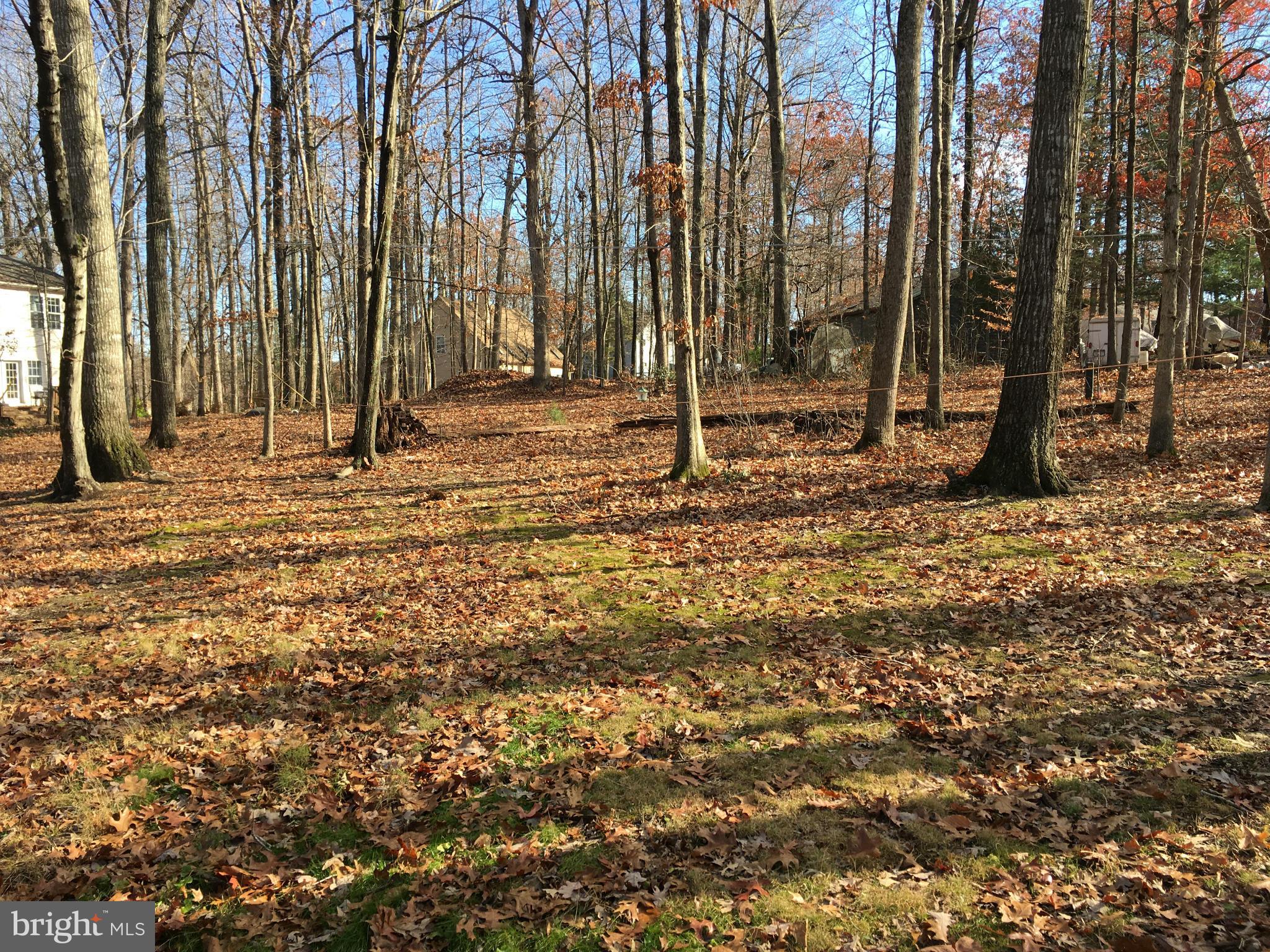 LAKE OF THE WOODS - Residential Lease