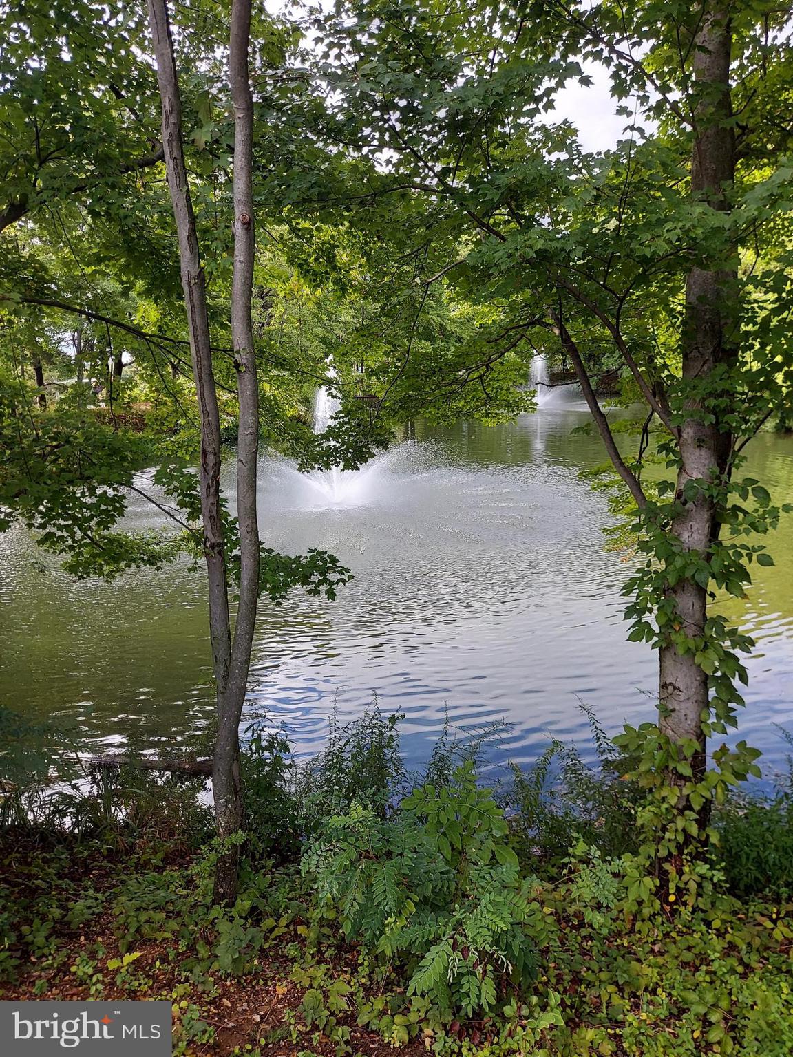 ROTONDA - Residential Lease