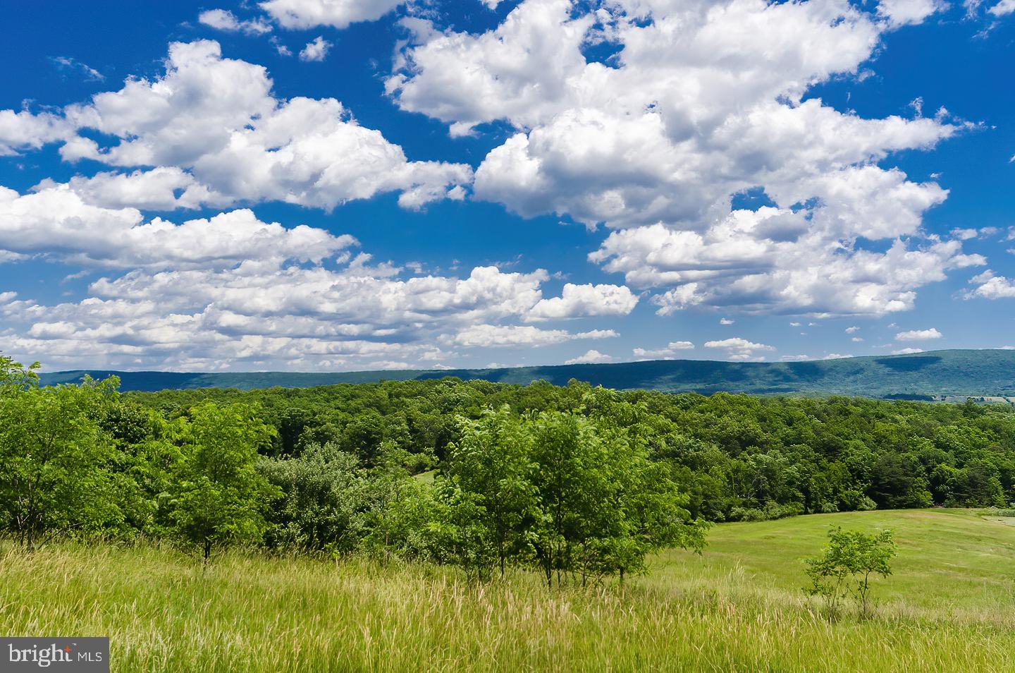 NONE AVAILABLE - Land