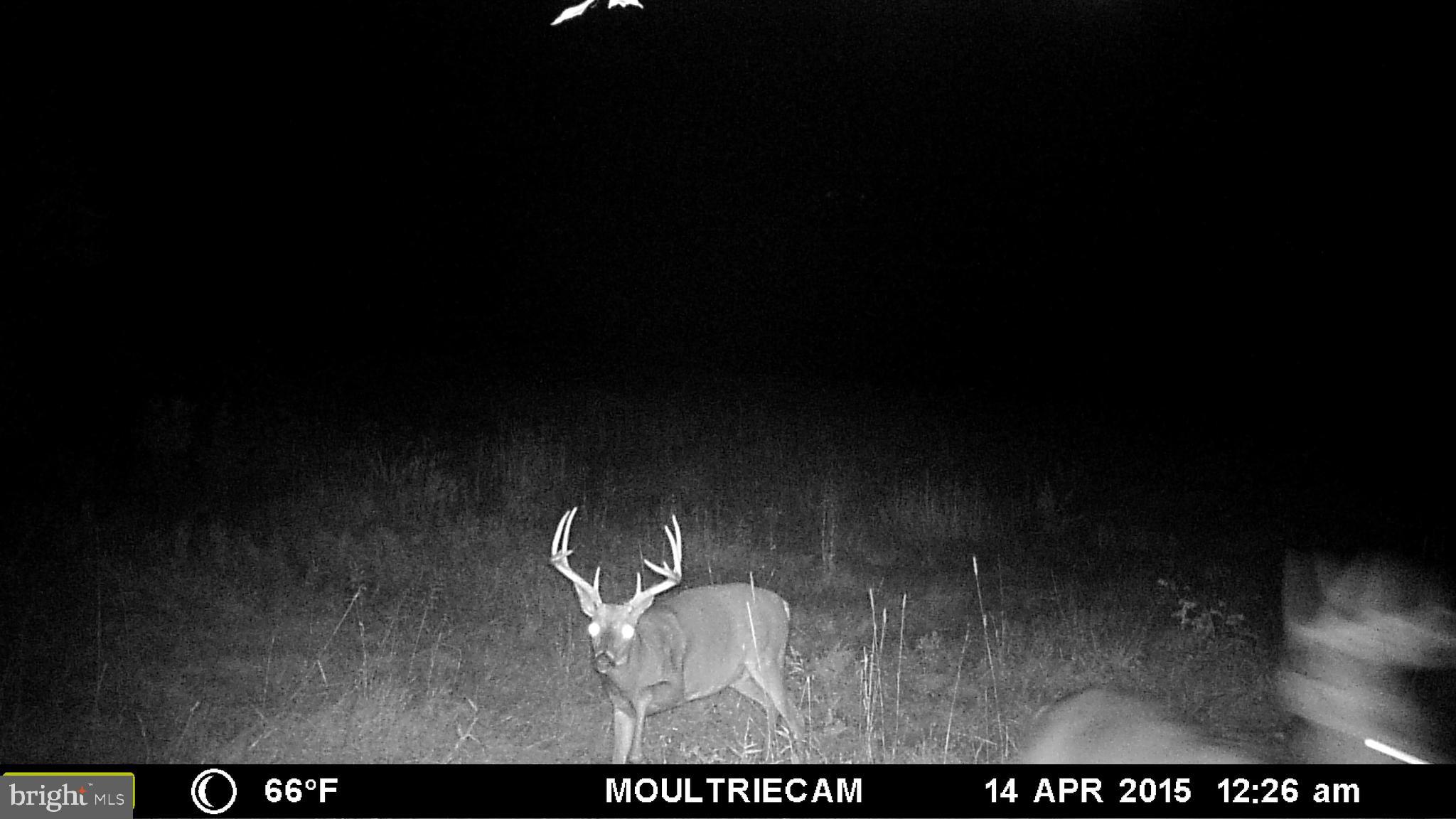 NONE AVAILABLE - Land