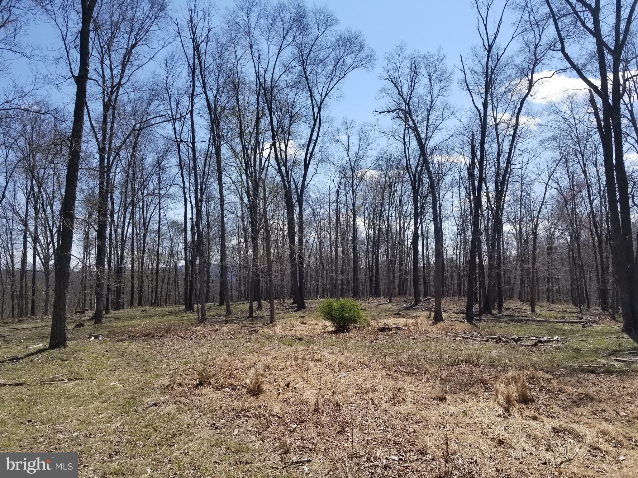 NONE AVAILABLE - Land