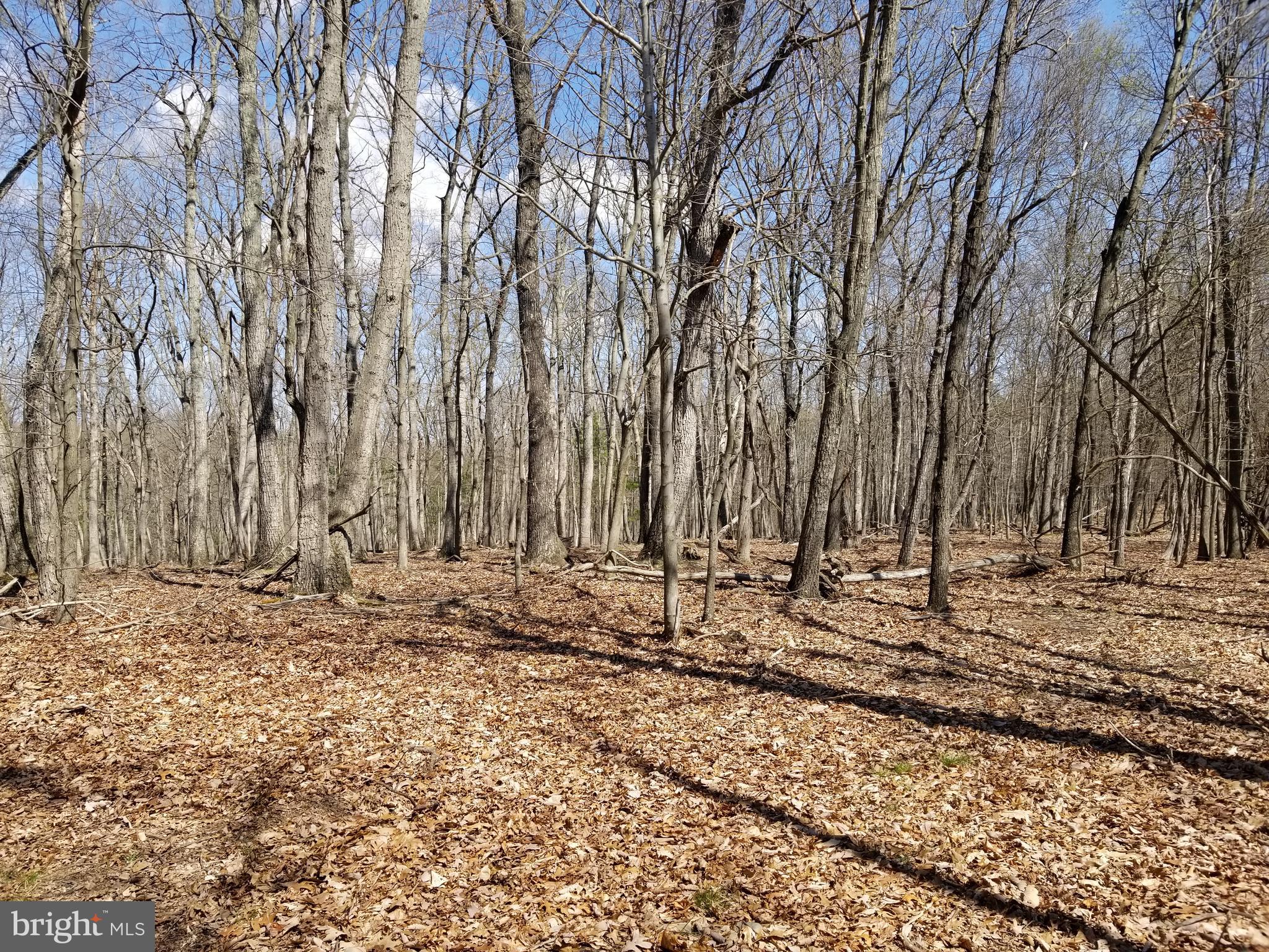 NONE AVAILABLE - Land