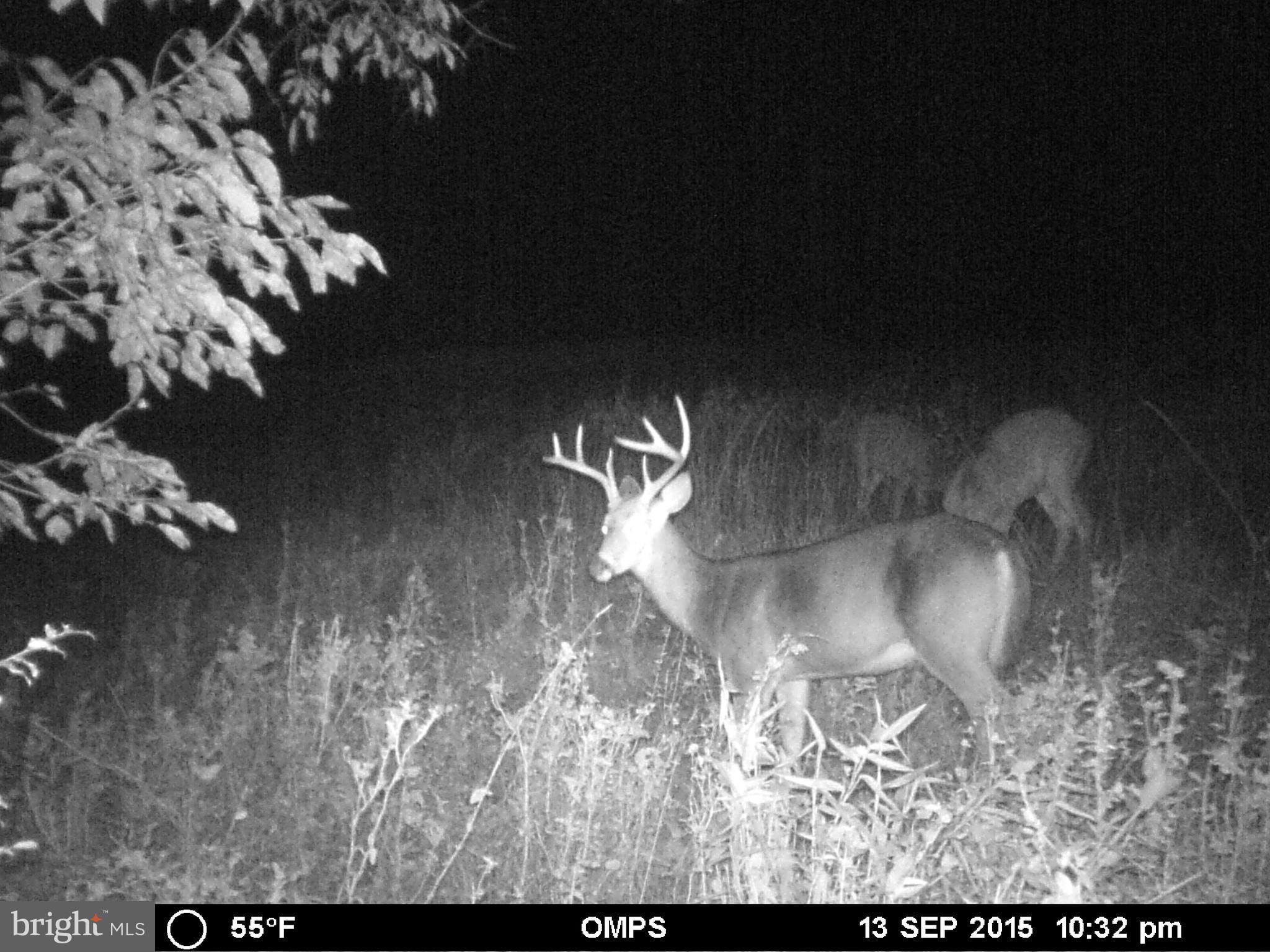 NONE AVAILABLE - Land