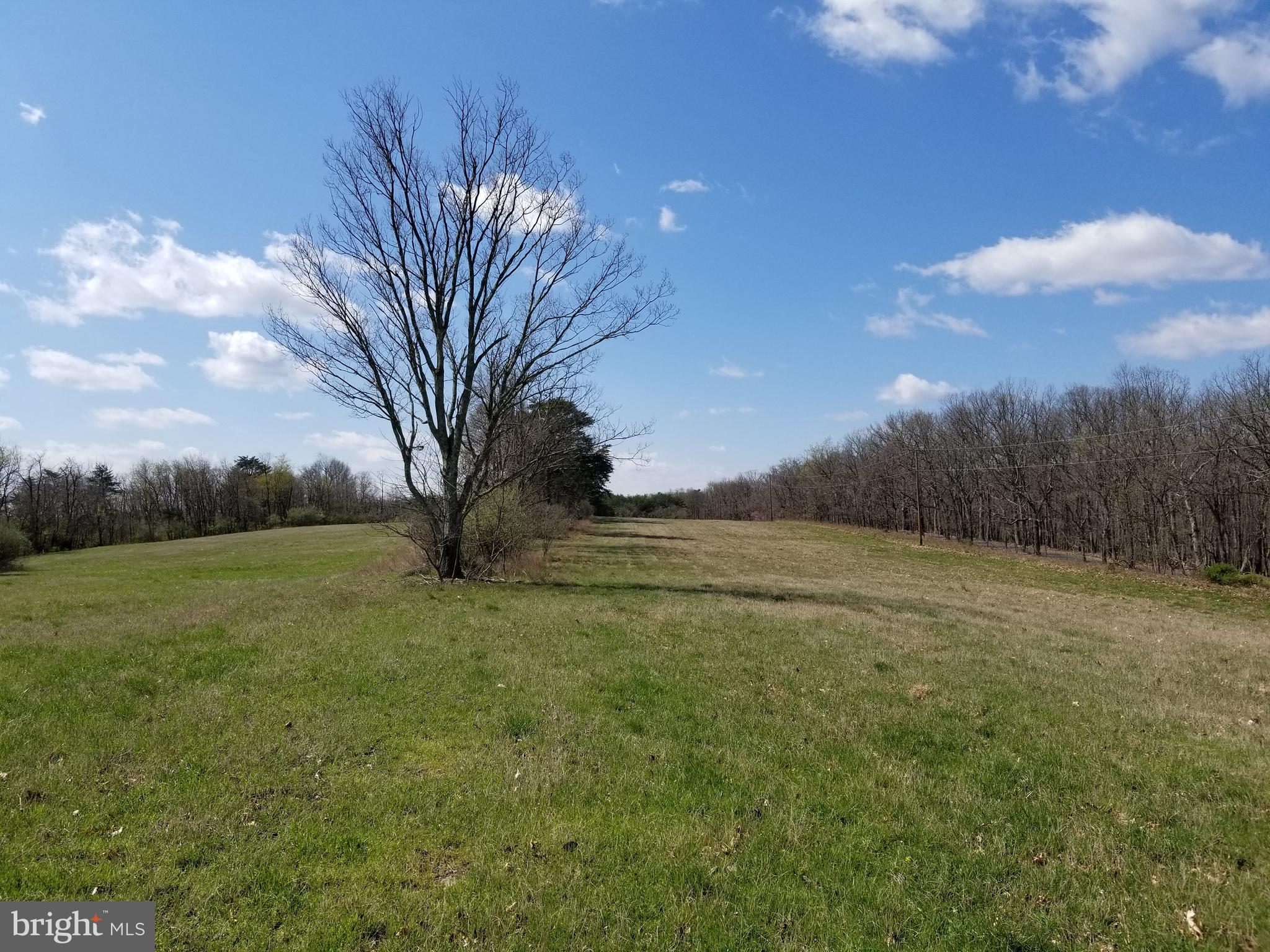 NONE AVAILABLE - Land