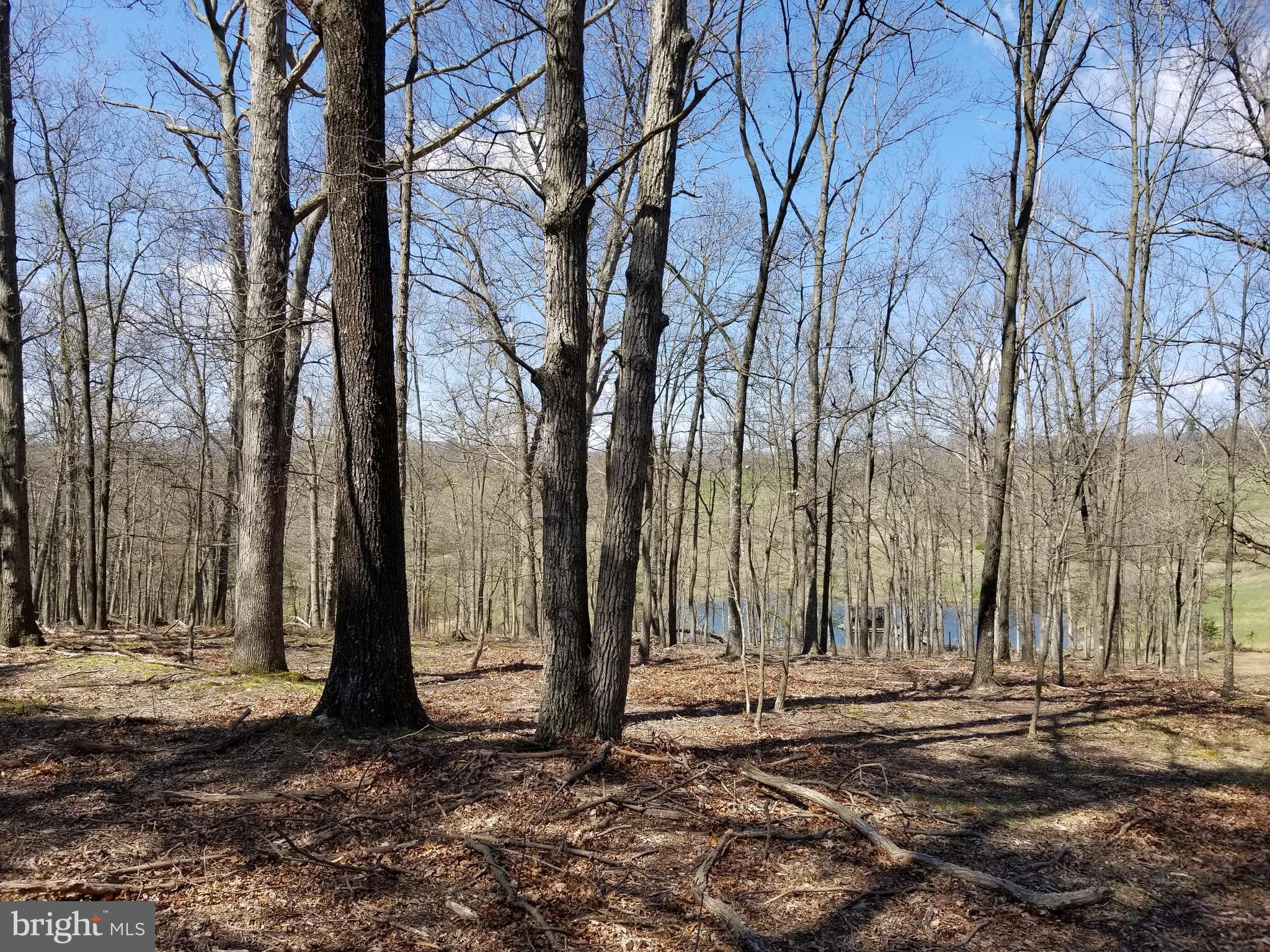 NONE AVAILABLE - Land