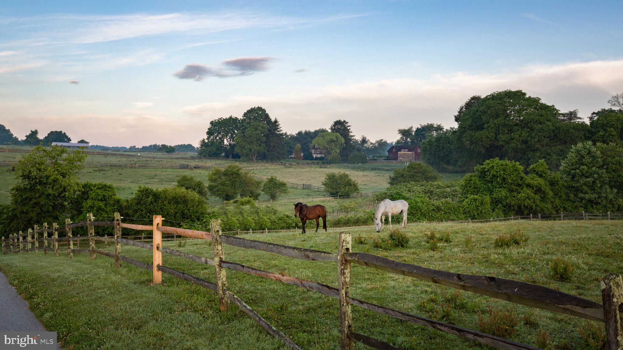 RADNOR HUNT - Residential