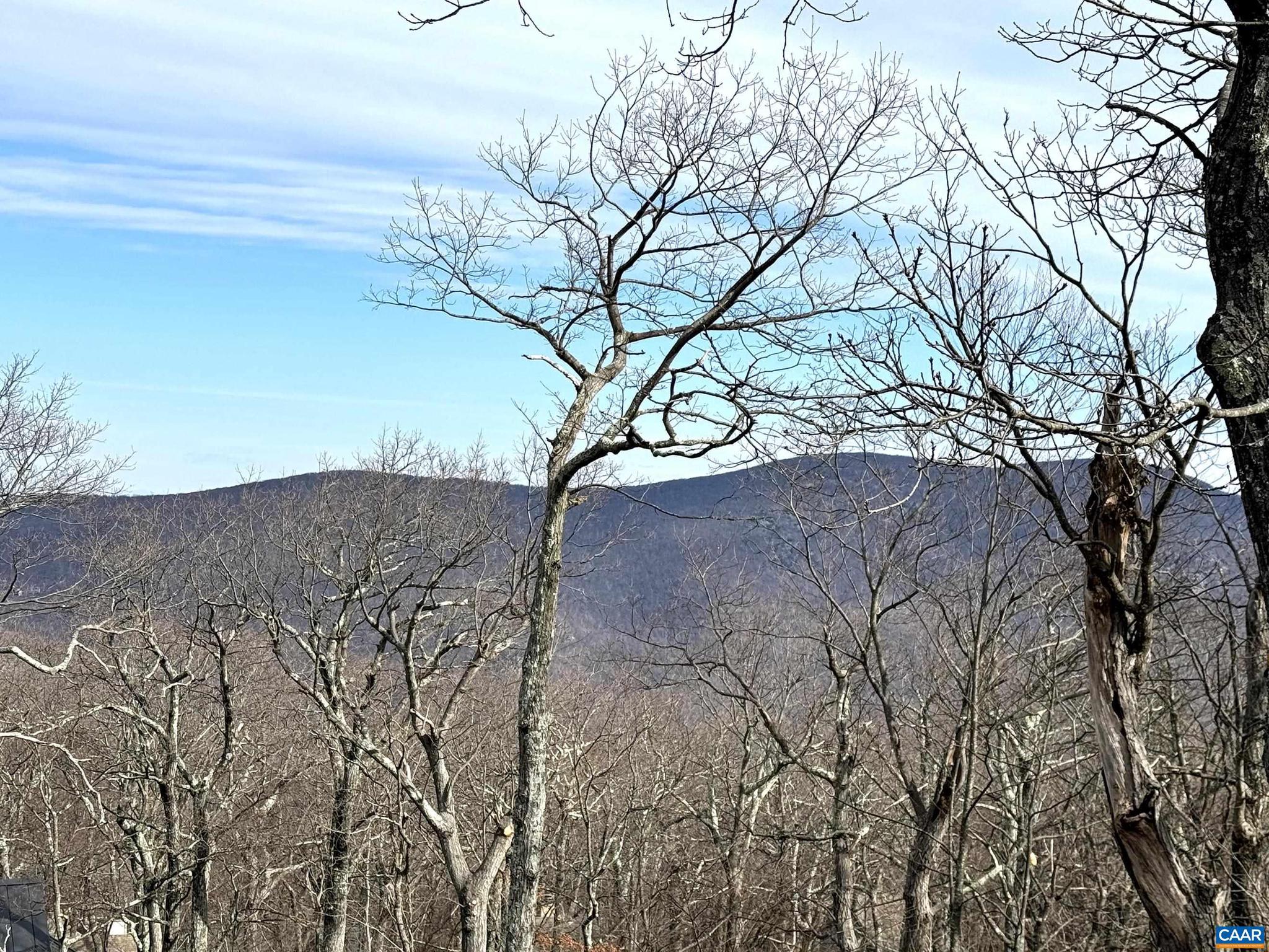 Nice, gently sloping homesite located at a short walk to the ski slopes and offering mountain views six months of the year. The property borders hundreds of acres of open space on the back for nice privacy. Step away from the back porch, and with a short walk through the woods, you can access one of Wintergreen's official hiking trails. Several other hiking trails are located within a short walk from this lot. The property's gentle slope is perfect for a home with a walk-out basement. It is an easy walk from here to two excellent Overlook locations- the Three Ridges Overlook, and the Plunge Park and the hiking trail. Build your dream home on this beautiful lot and start enjoying the quality mountain life.