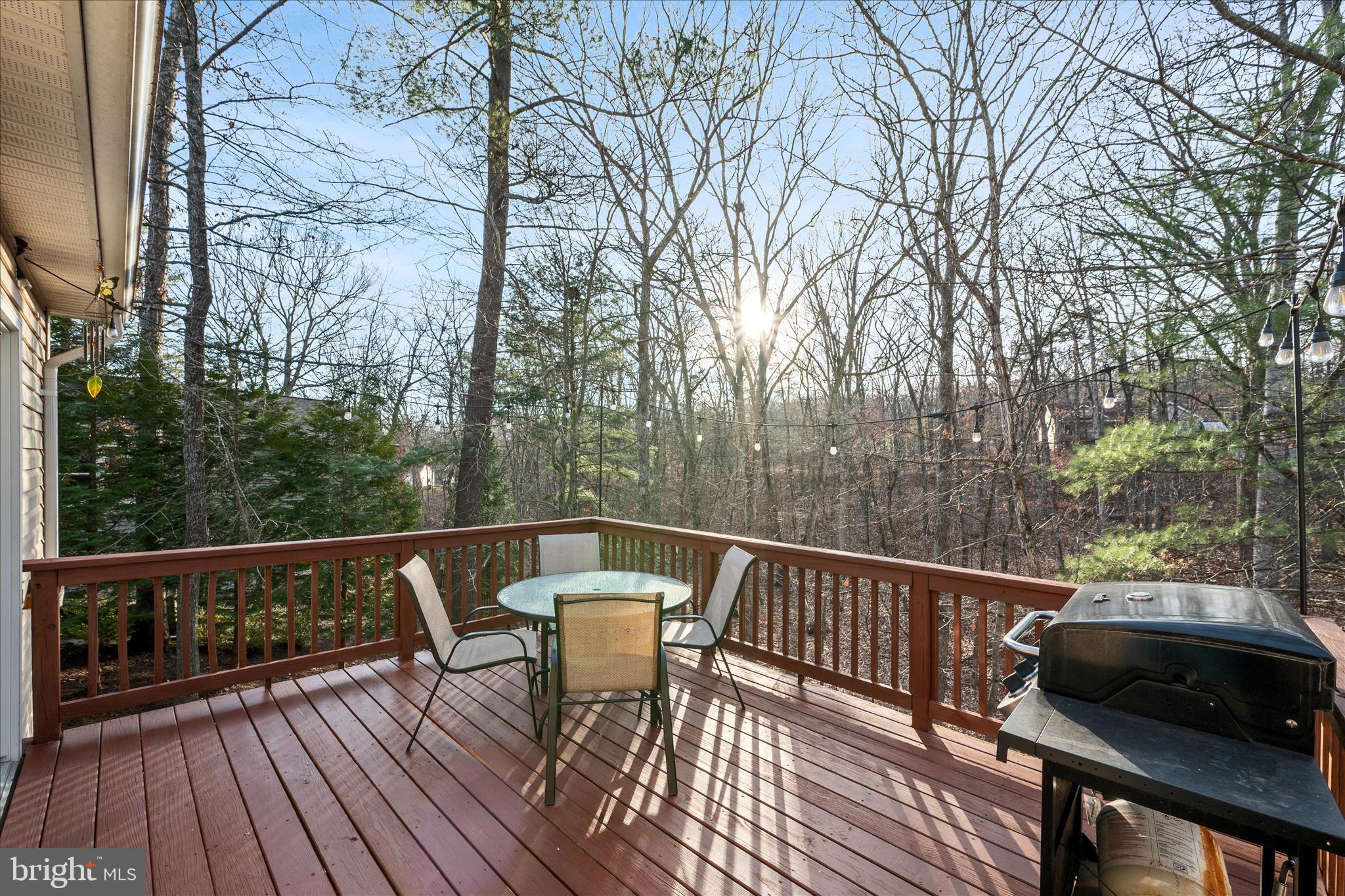 LAKE HOLIDAY ESTATES - Residential