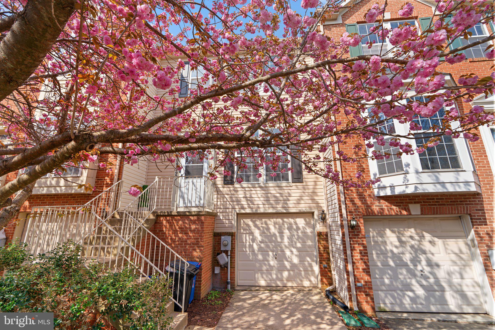 CLOVERLEAF TOWNHOMES - Residential Lease