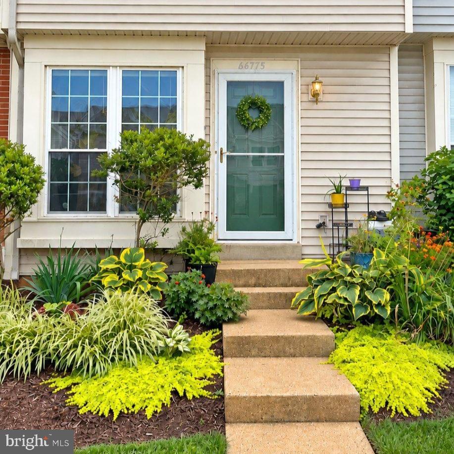 46775 MACAW SQUARE