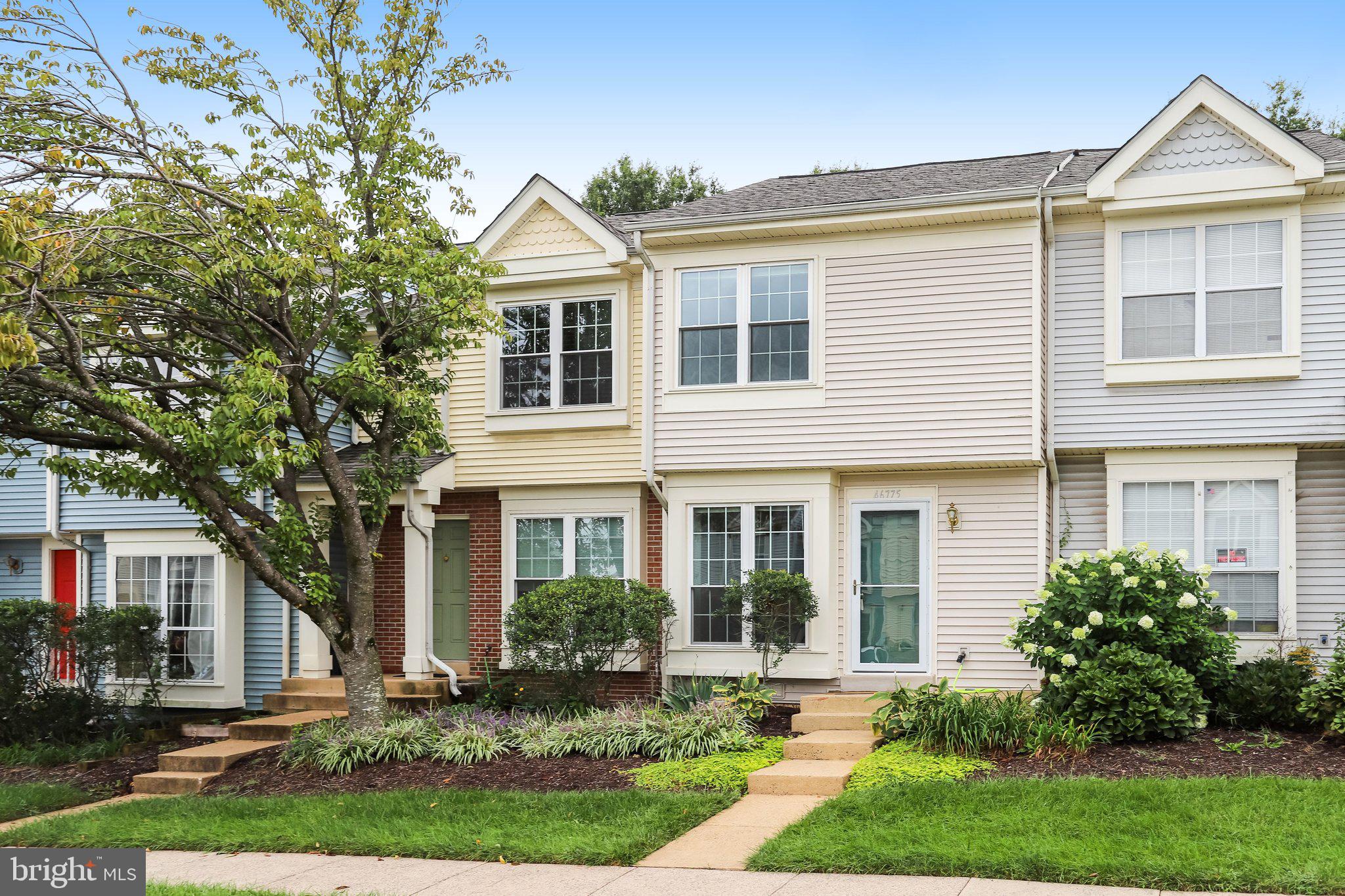 46775 MACAW SQUARE