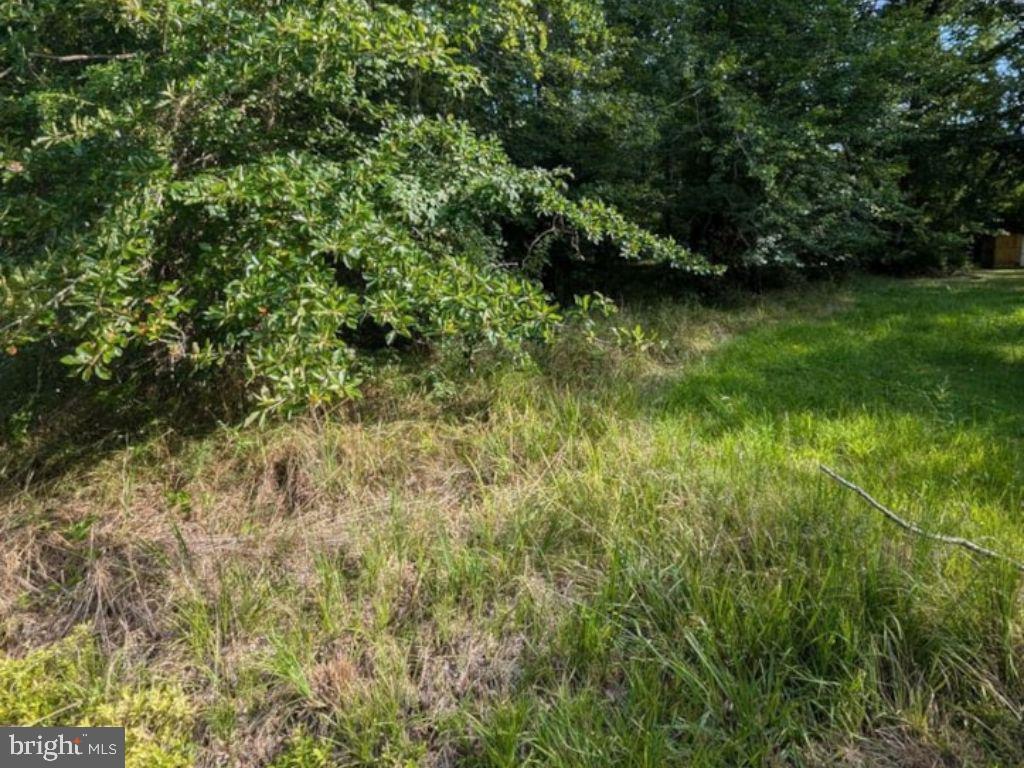 36788 SPRINGDALE DRIVE