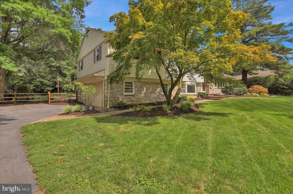 BIRDLAND - Residential