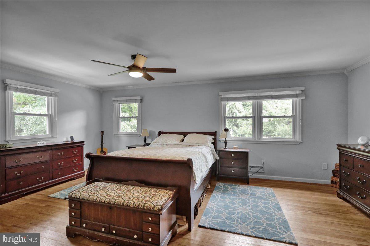 BIRDLAND - Residential