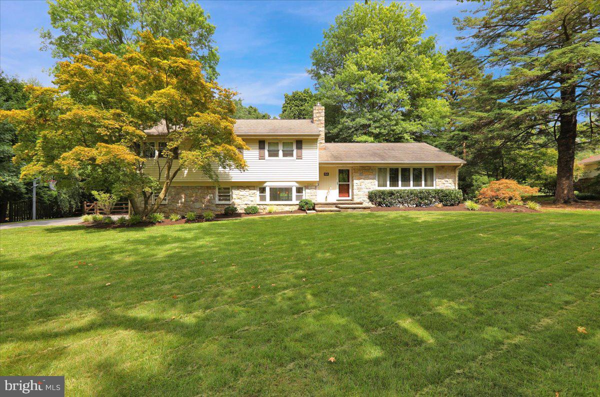 BIRDLAND - Residential