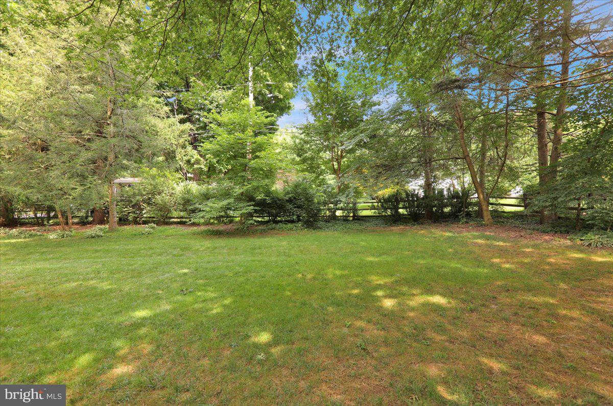 BIRDLAND - Residential