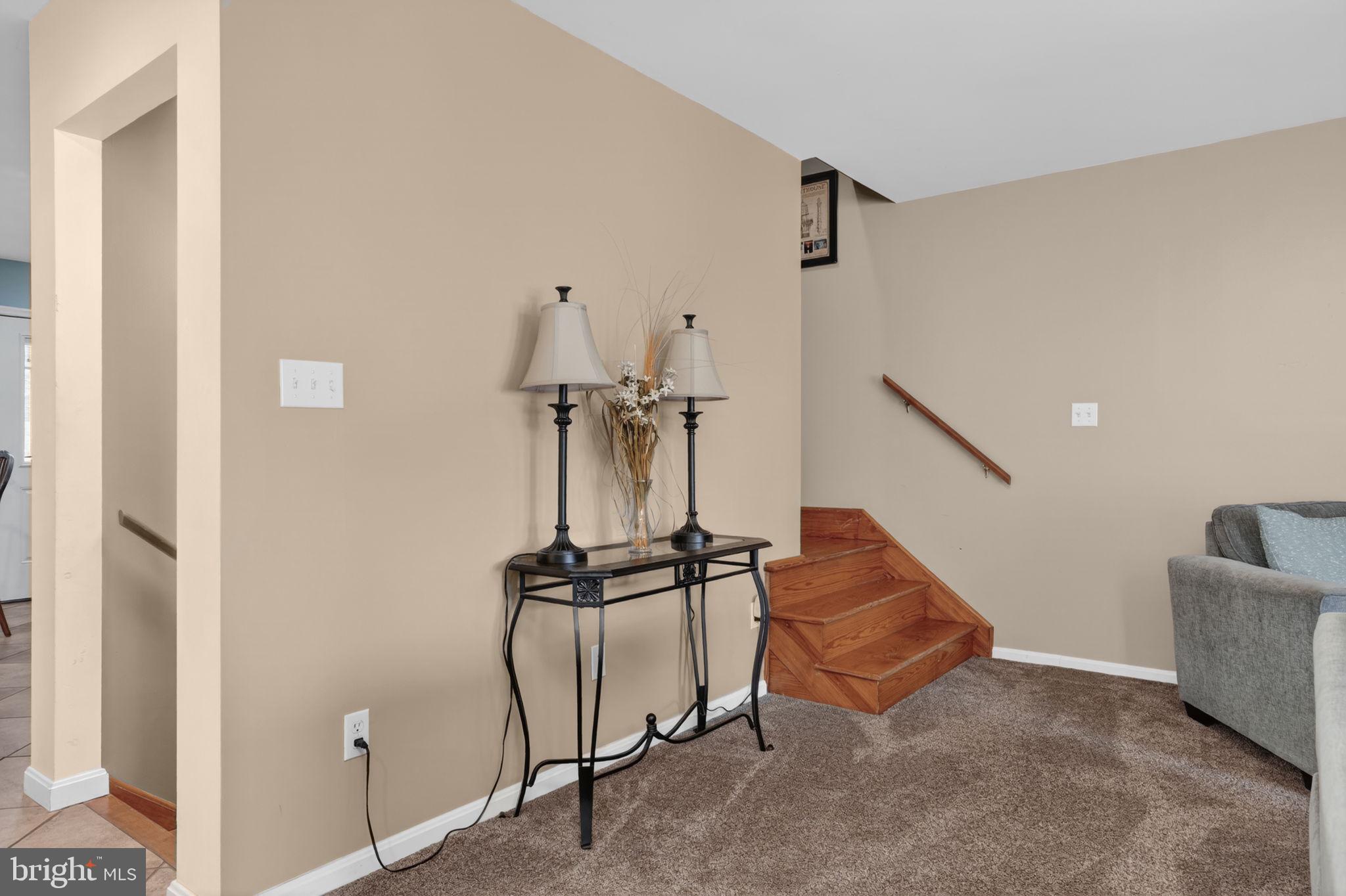 CHINCOTEAGUE - Residential