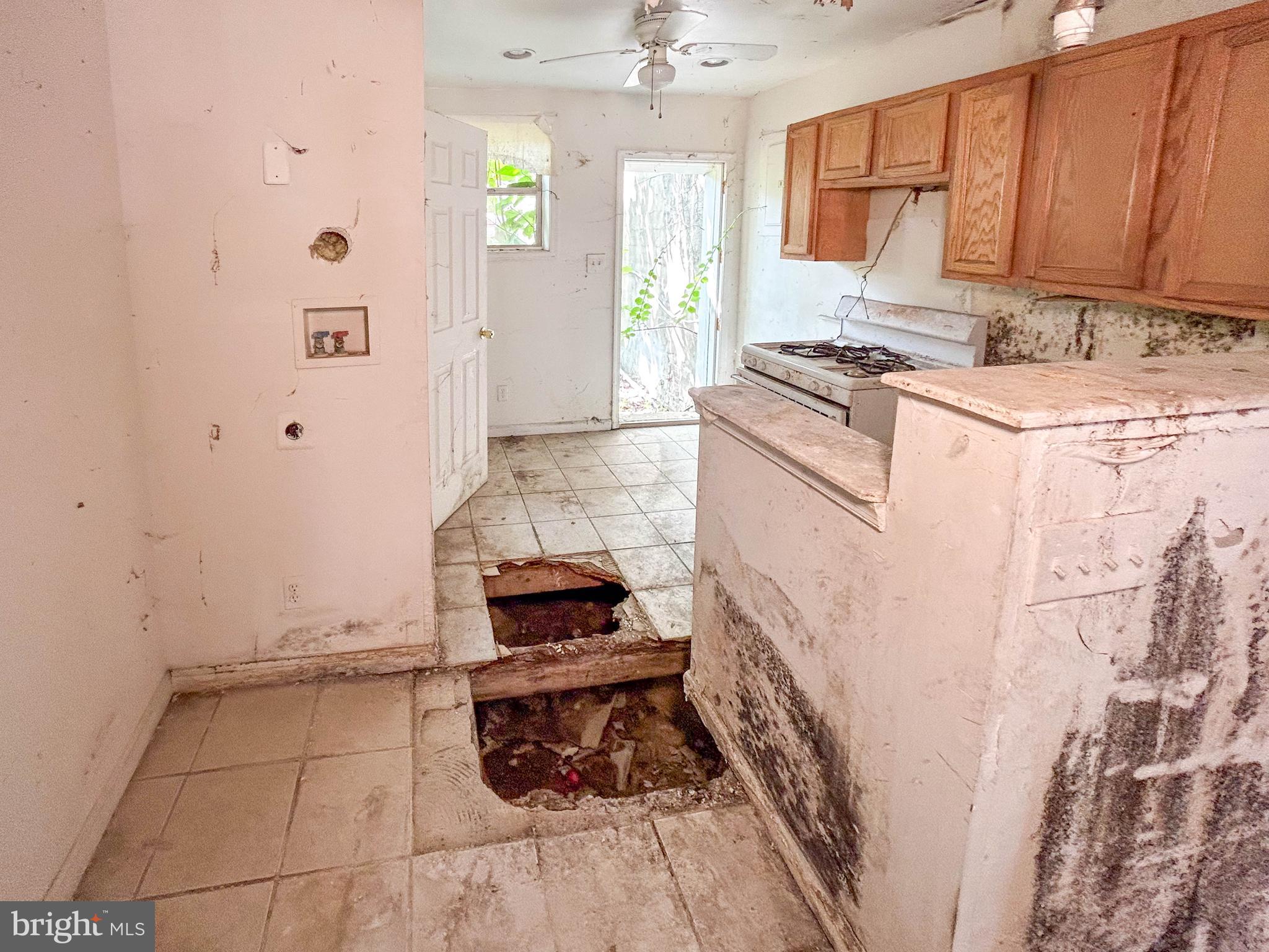 PIGTOWN HISTORIC DISTRICT - Residential