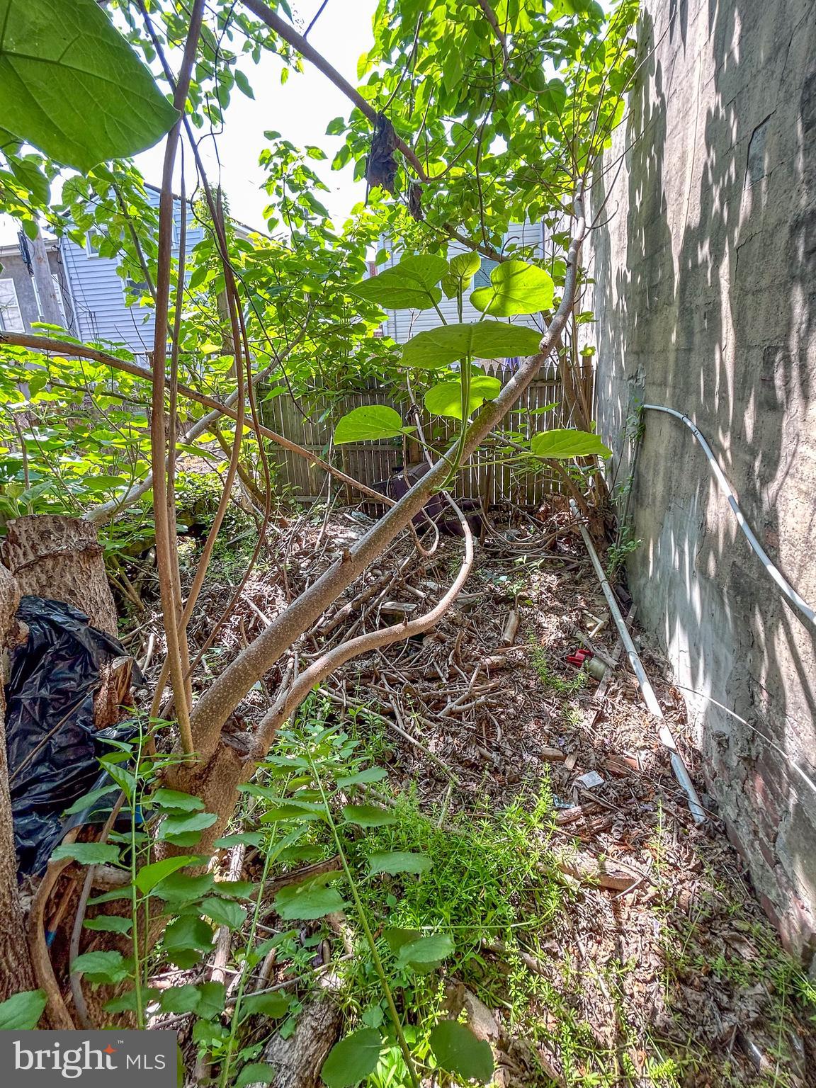 PIGTOWN HISTORIC DISTRICT - Residential