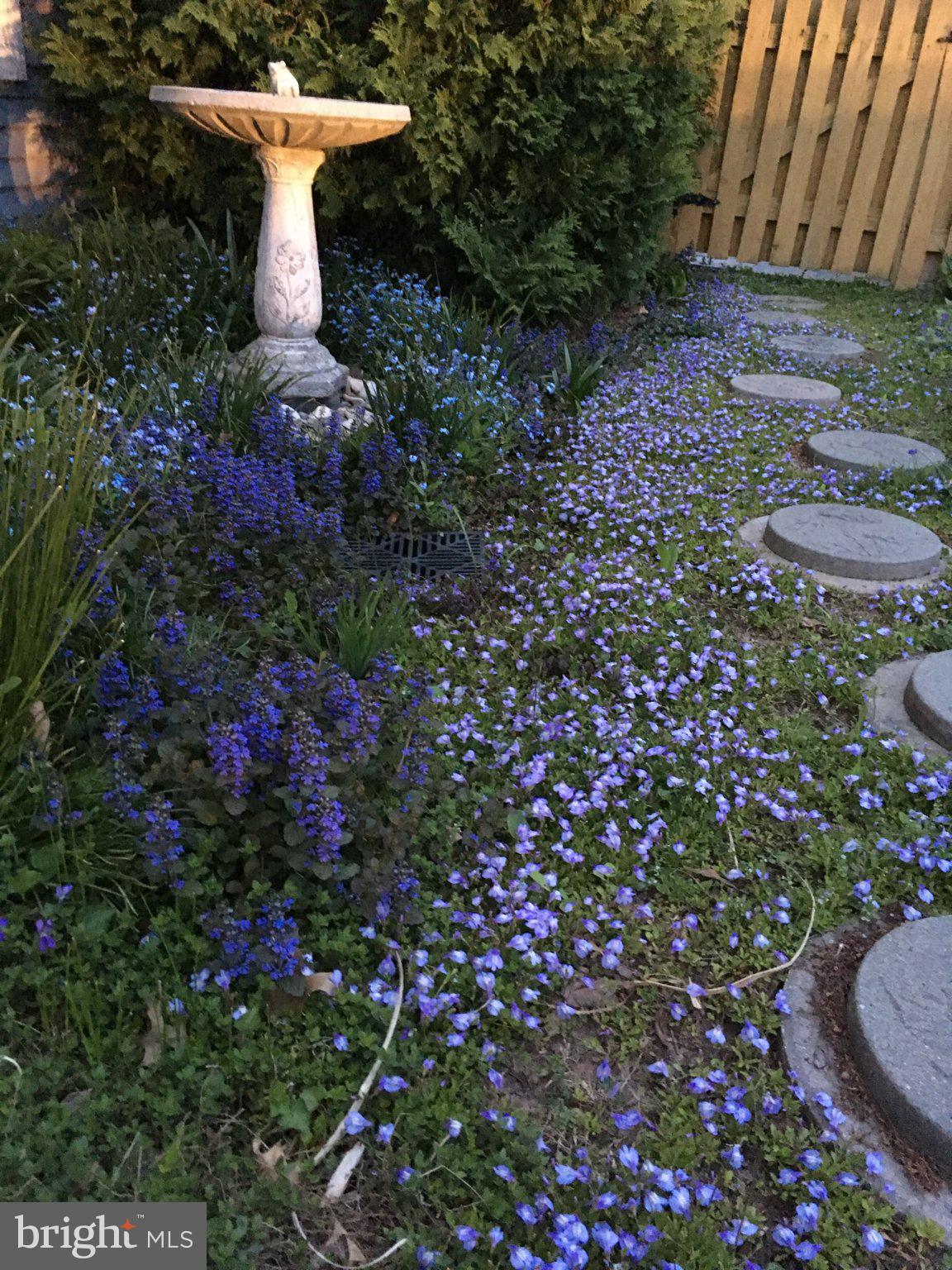 FOREST PARK - Residential