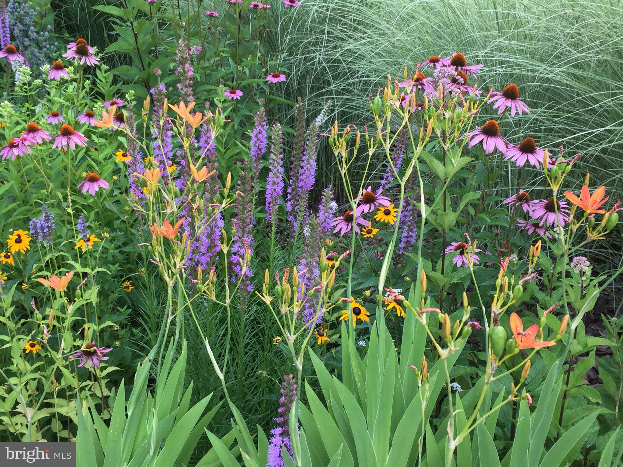 FOREST PARK - Residential