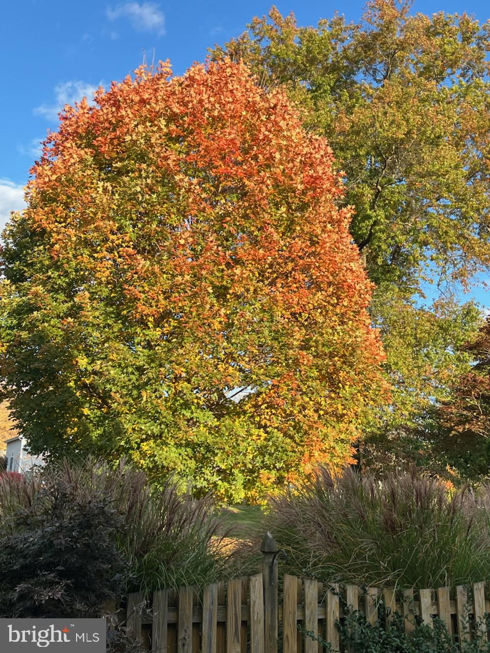 FOREST PARK - Residential