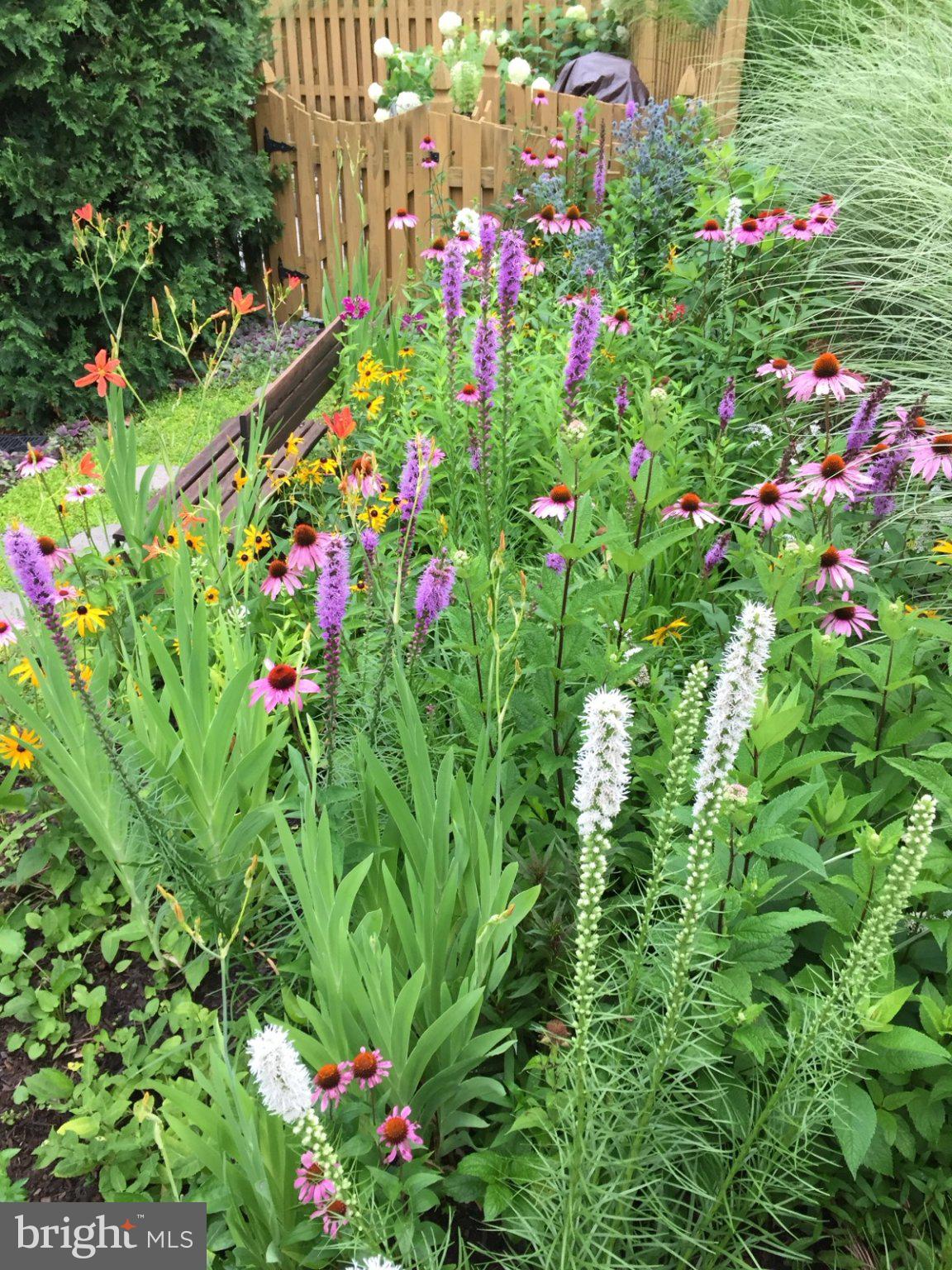 FOREST PARK - Residential