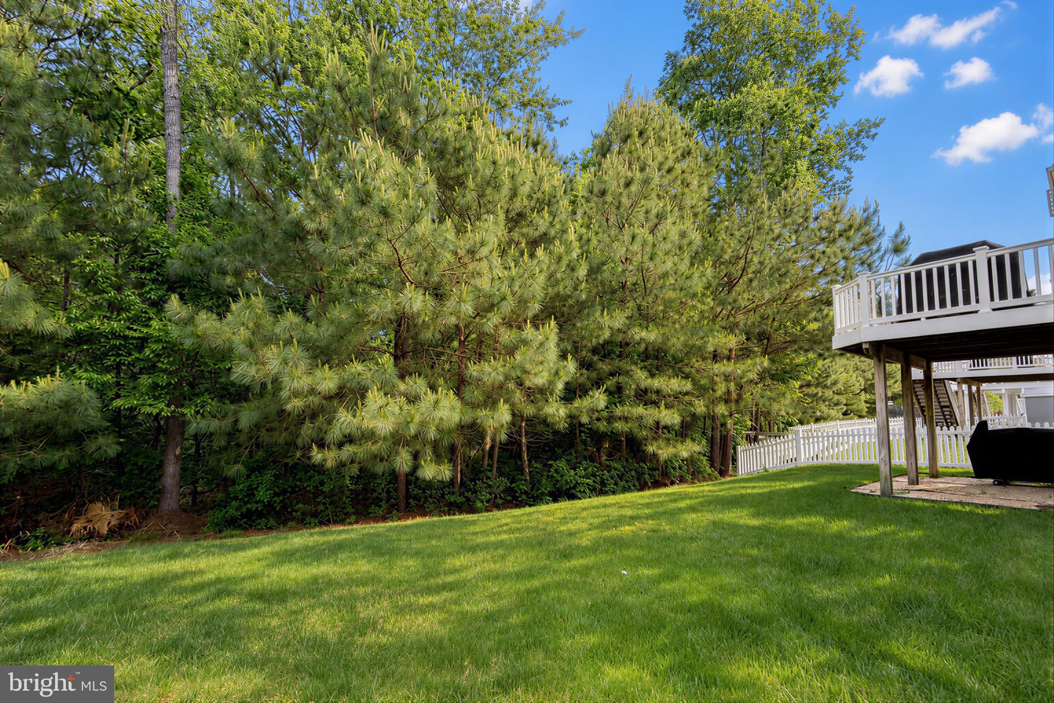 WOODLAND PARK AT WILDEWOOD - Residential