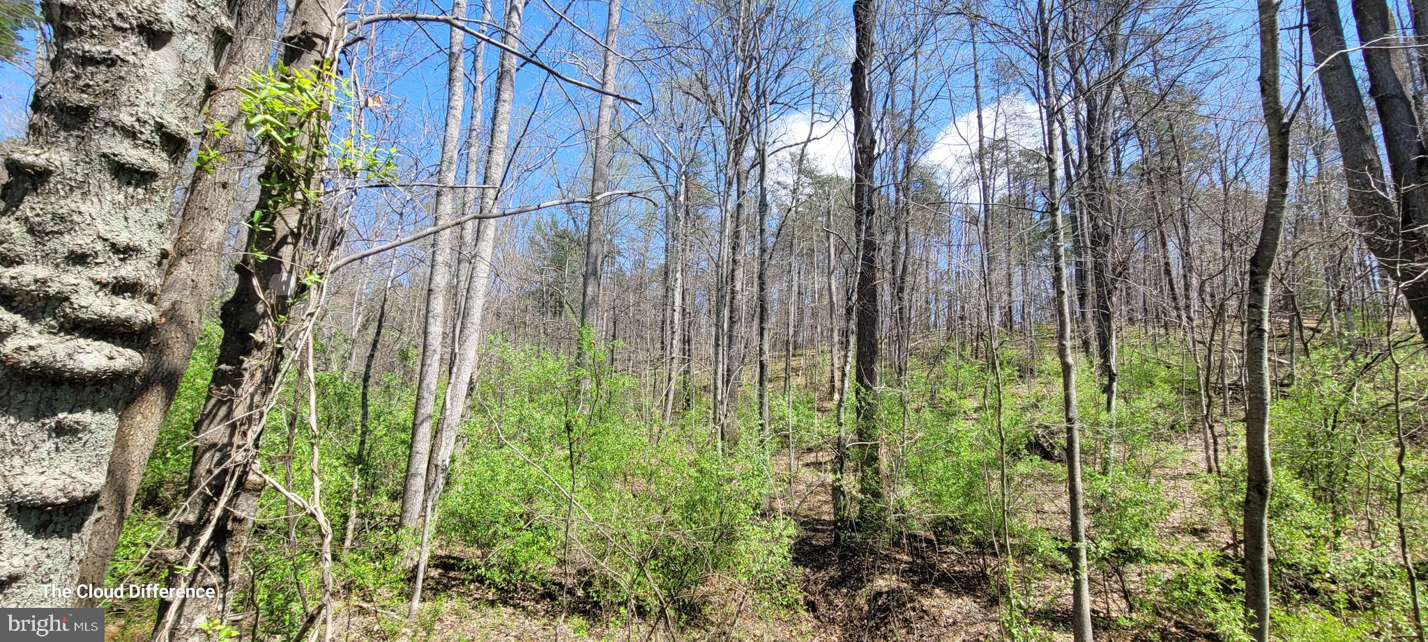 Vacant Land CABIN BRANCH ROAD