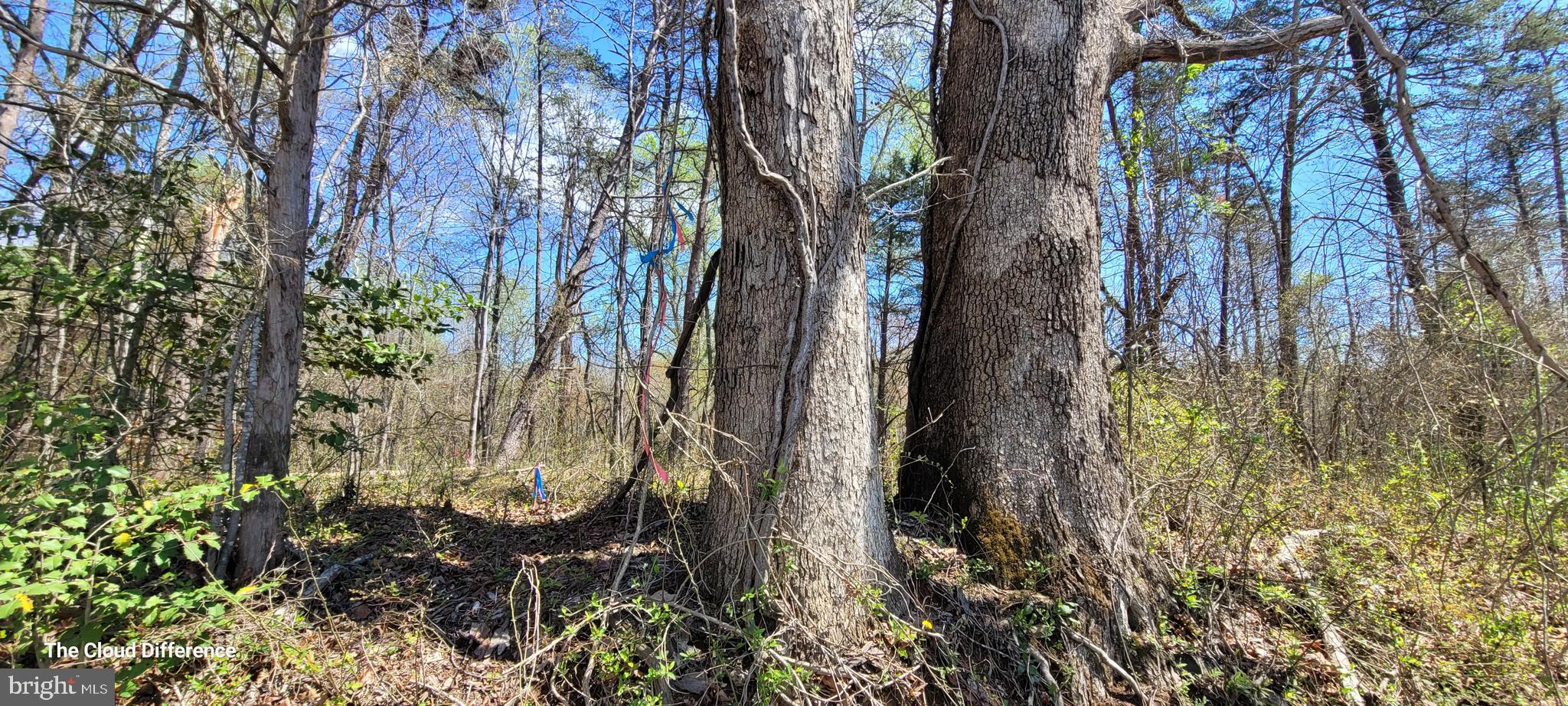 Vacant Land CABIN BRANCH ROAD