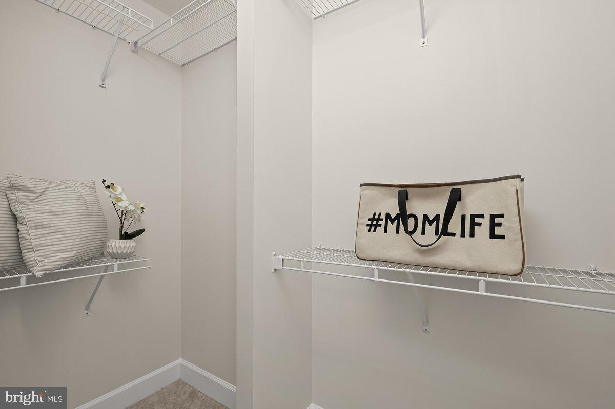 ECLIPSE ON CENTER PARK - Residential