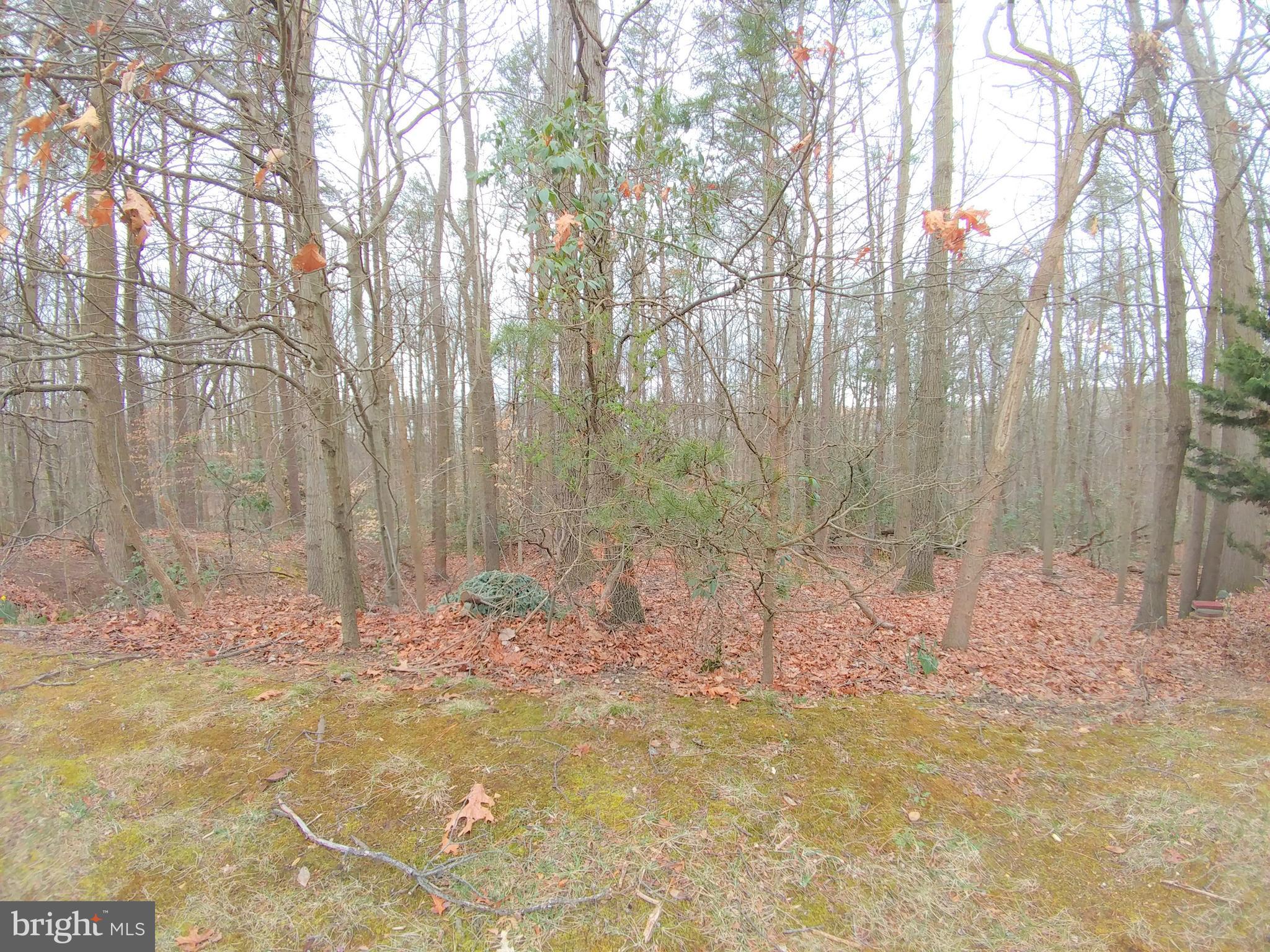 PINEY ORCHARD - Residential