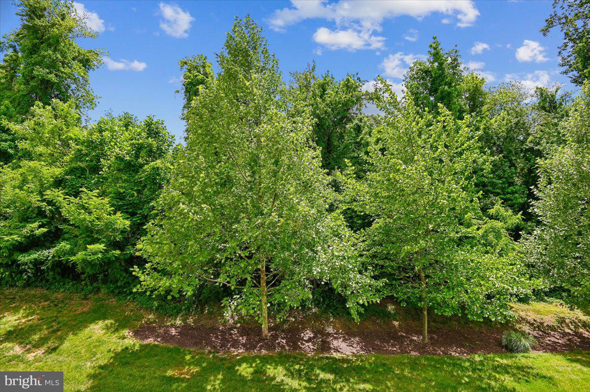 PONDVIEW - Residential