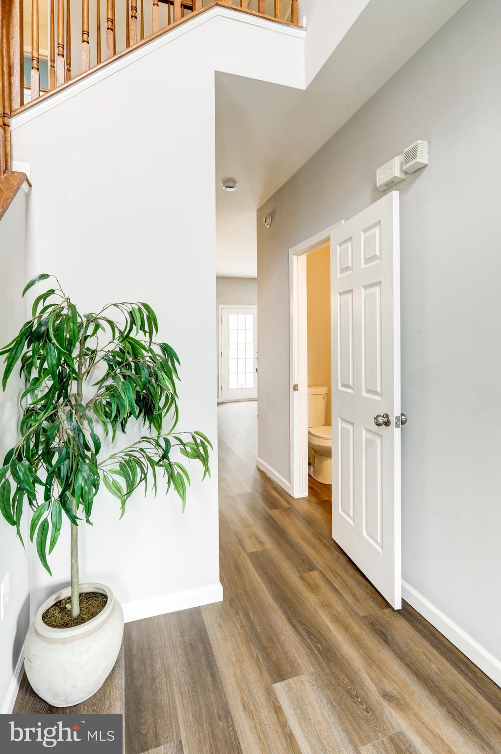 WALLINGFORD - Residential