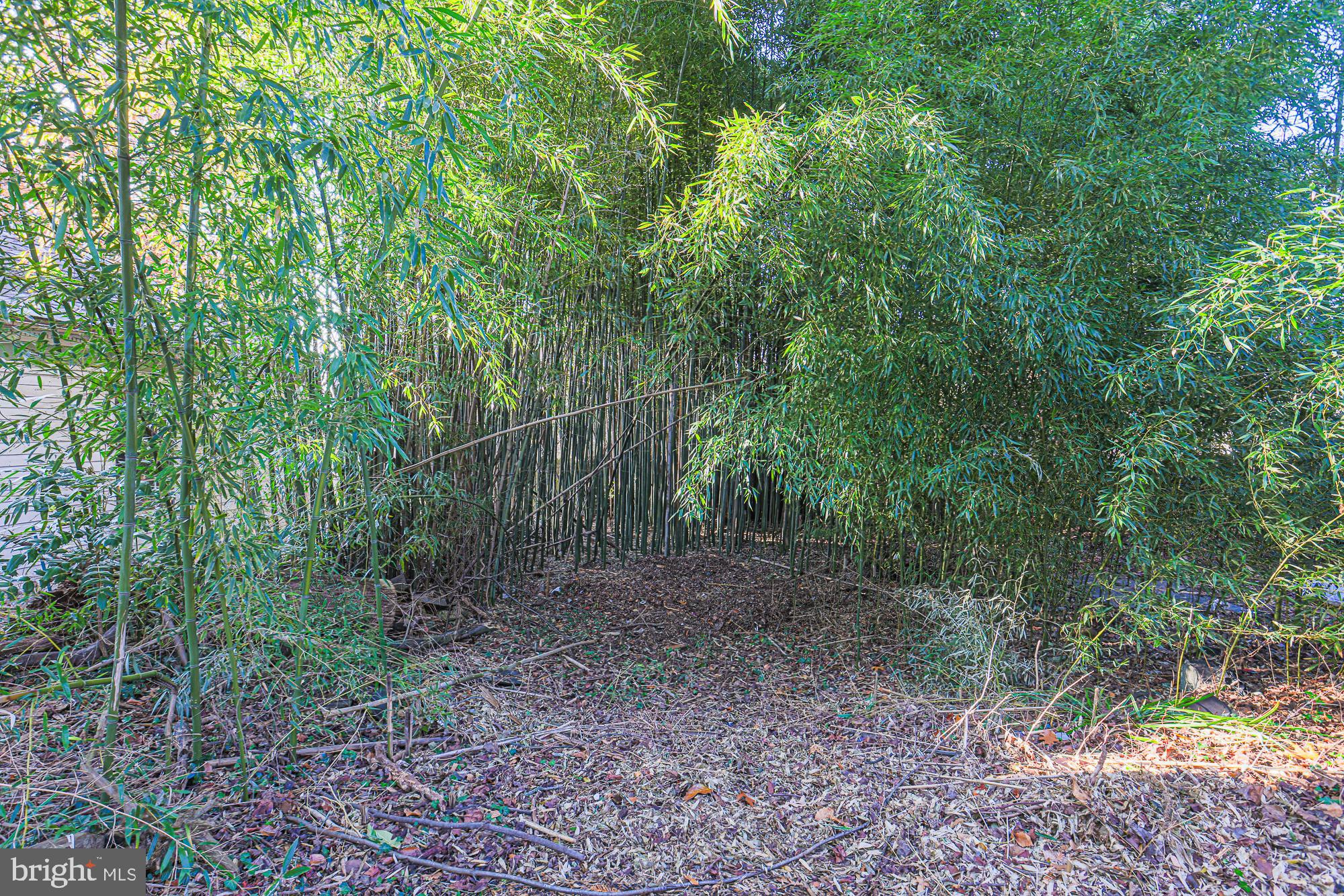 WINDSOR HILLS - Residential