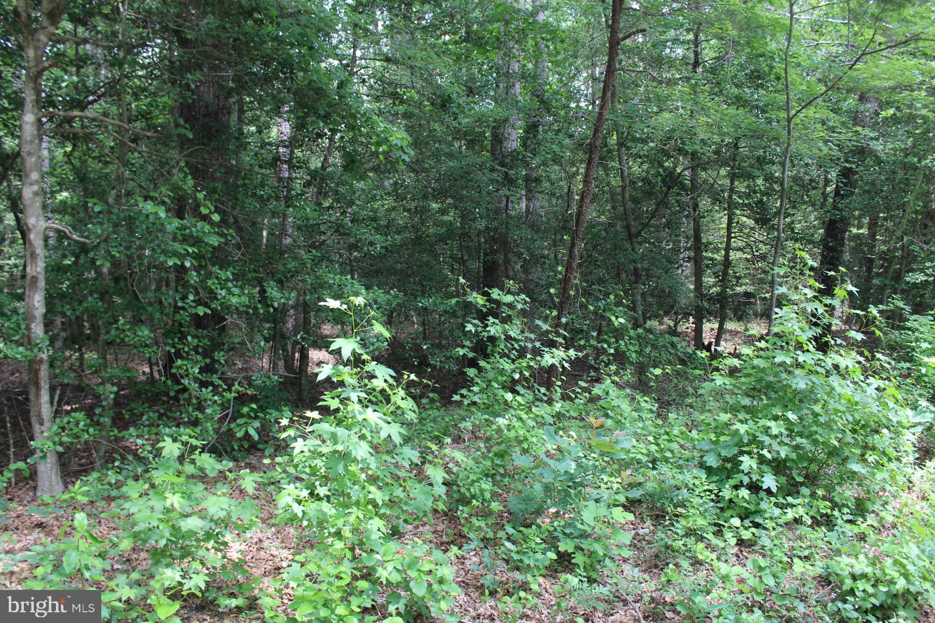 Lot 3 JACKSON ROAD