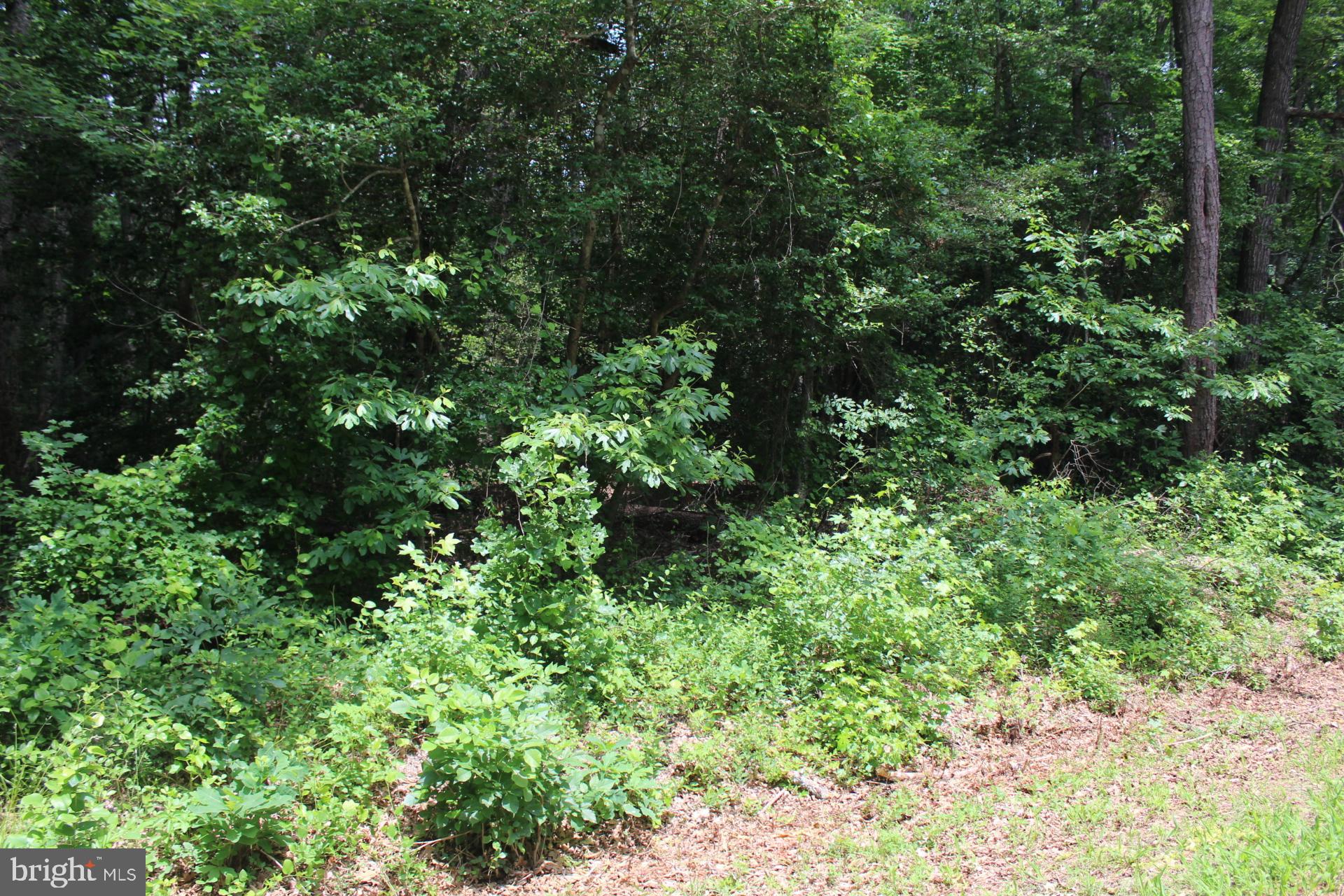 Lot 3 JACKSON ROAD