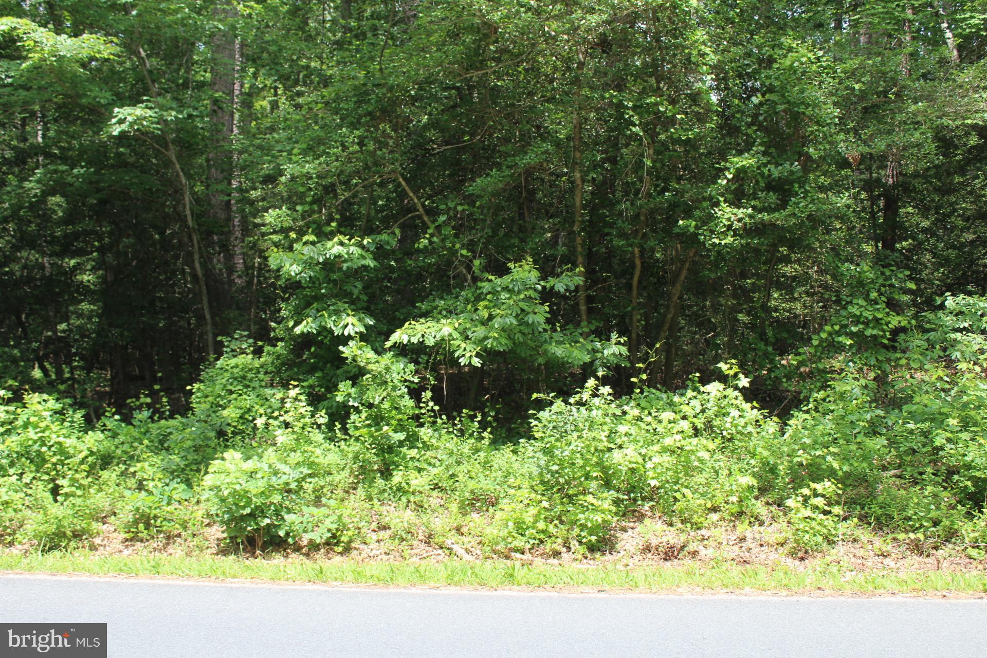 Lot 3 JACKSON ROAD