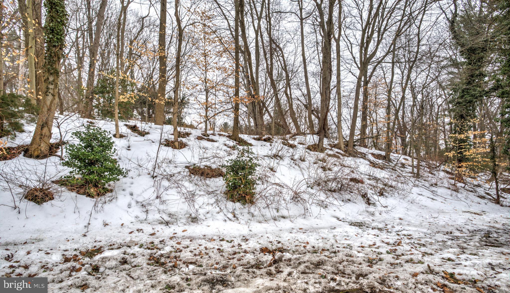 PADDOCK FARM - Residential