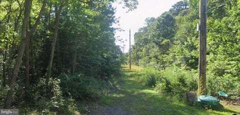 Vacant Land For Sale - 439 E Barnegat Avenue<br/> Ocean County, BAYVILLE, NJ 08721
